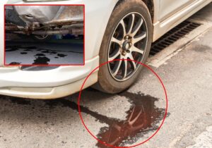 Understanding Transmission Fluid and Its Importance