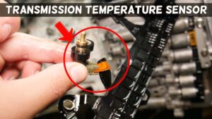 What is the Transmission Fluid Temperature Sensor?